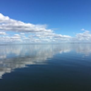 Meet your Posher, Joan